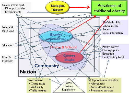 Childhood obesity rates are influenced by a complex social system