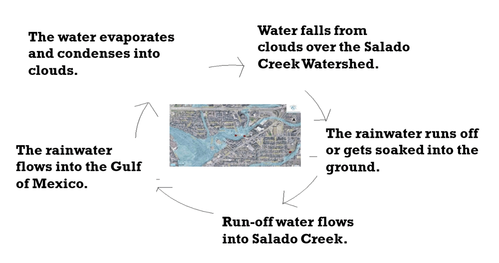 Causal Loop Diagram created by TexPREP students