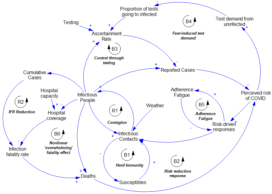 COVID-19 behavior model