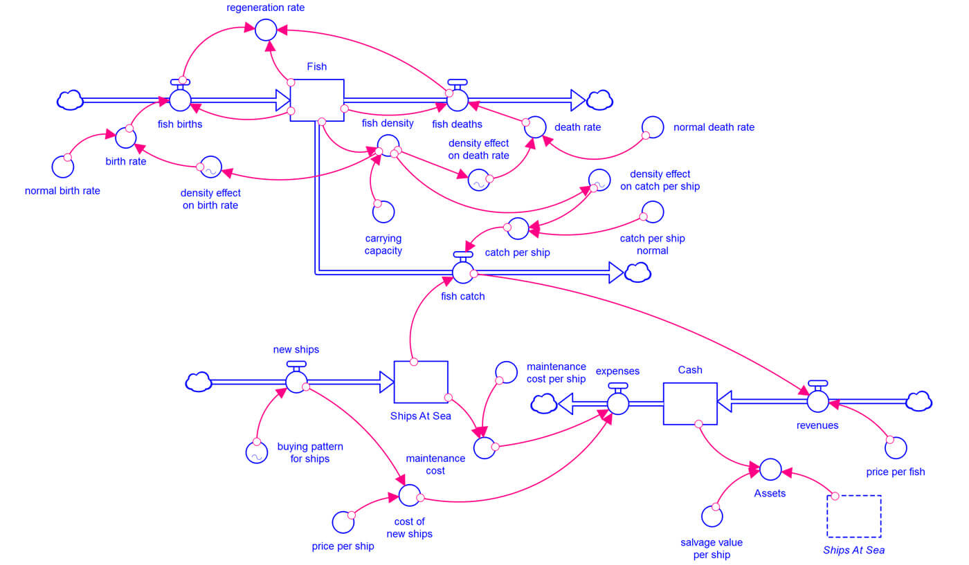 Systems in Focus: Conservation model