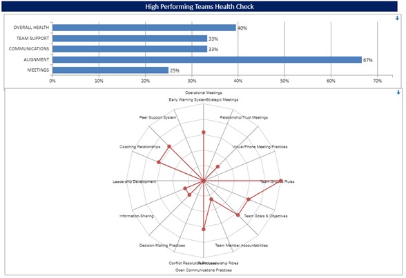 A health check in the Team Process Management App