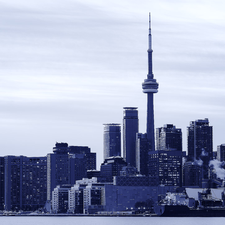 Introduction to Dynamic Modeling